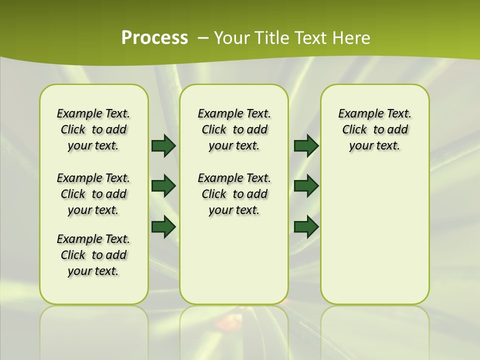 Sprig Xmas Summer PowerPoint Template