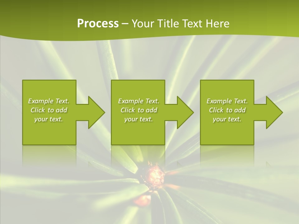 Sprig Xmas Summer PowerPoint Template