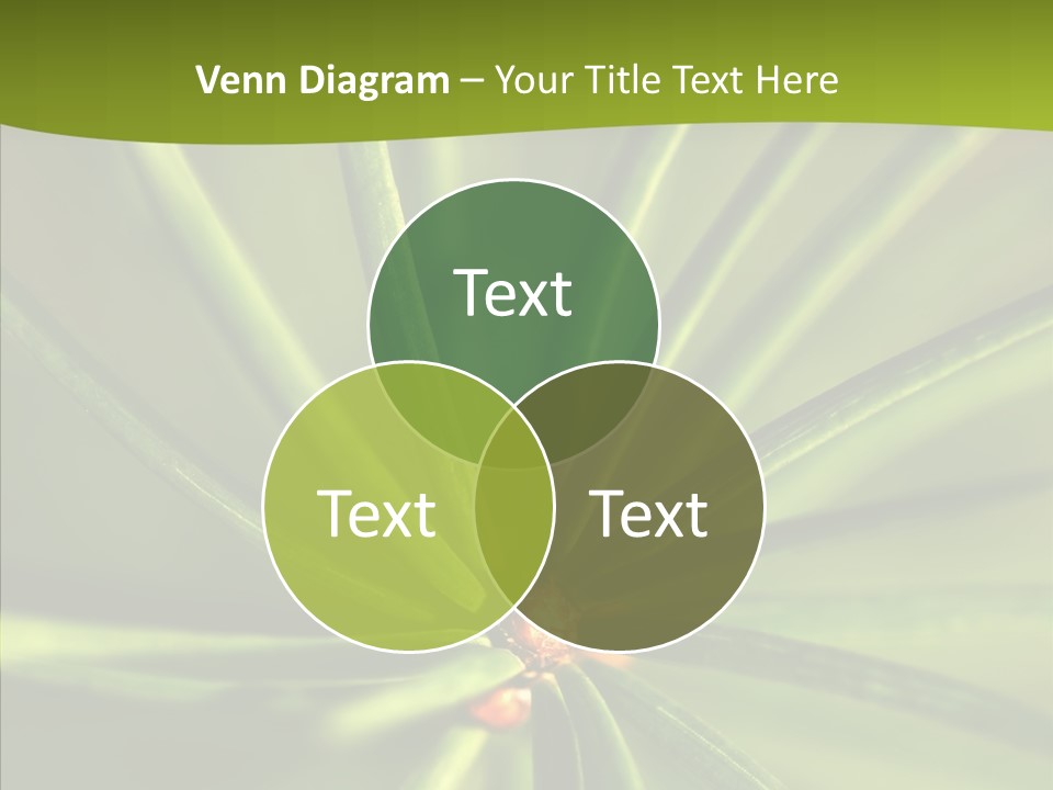 Sprig Xmas Summer PowerPoint Template