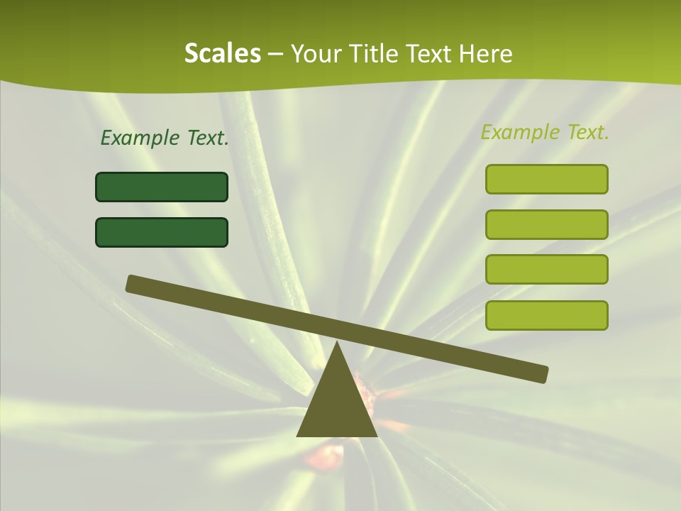Sprig Xmas Summer PowerPoint Template