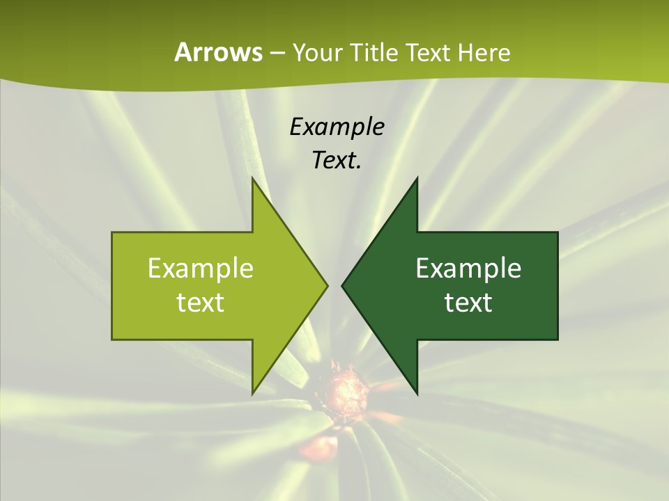 Sprig Xmas Summer PowerPoint Template