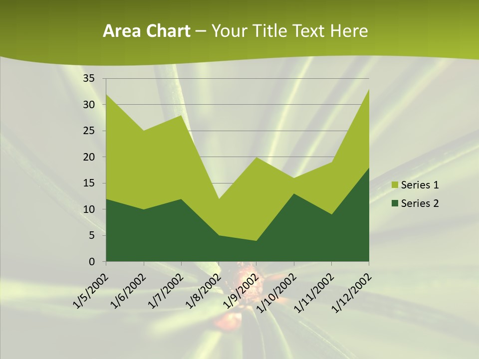 Sprig Xmas Summer PowerPoint Template
