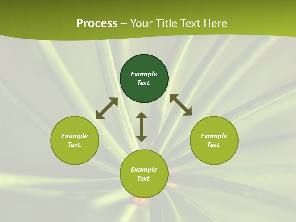Sprig Xmas Summer PowerPoint Template