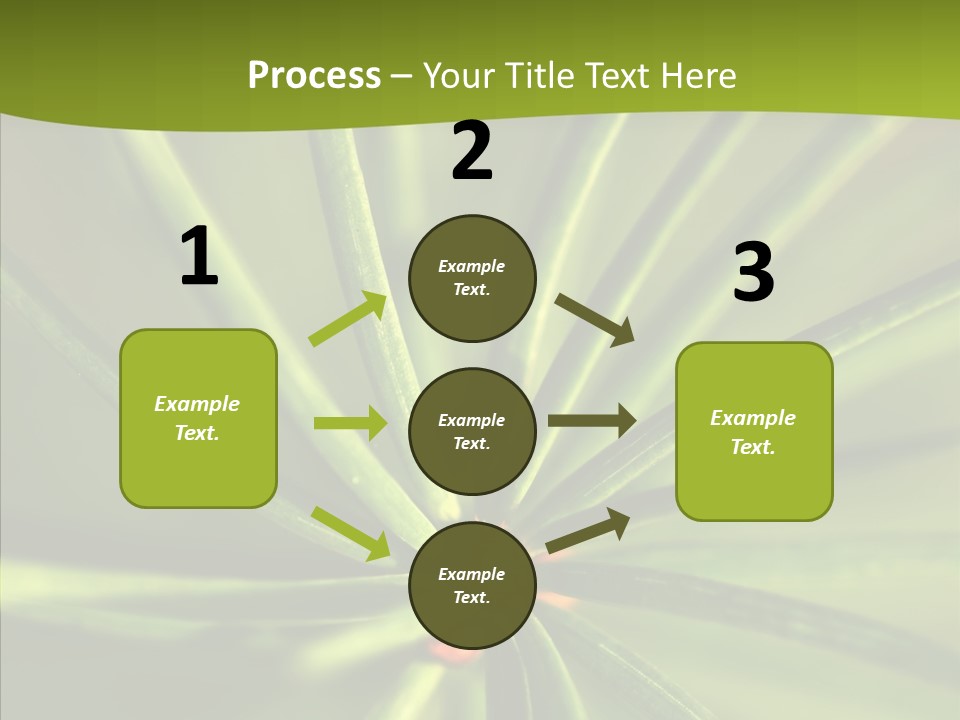 Sprig Xmas Summer PowerPoint Template