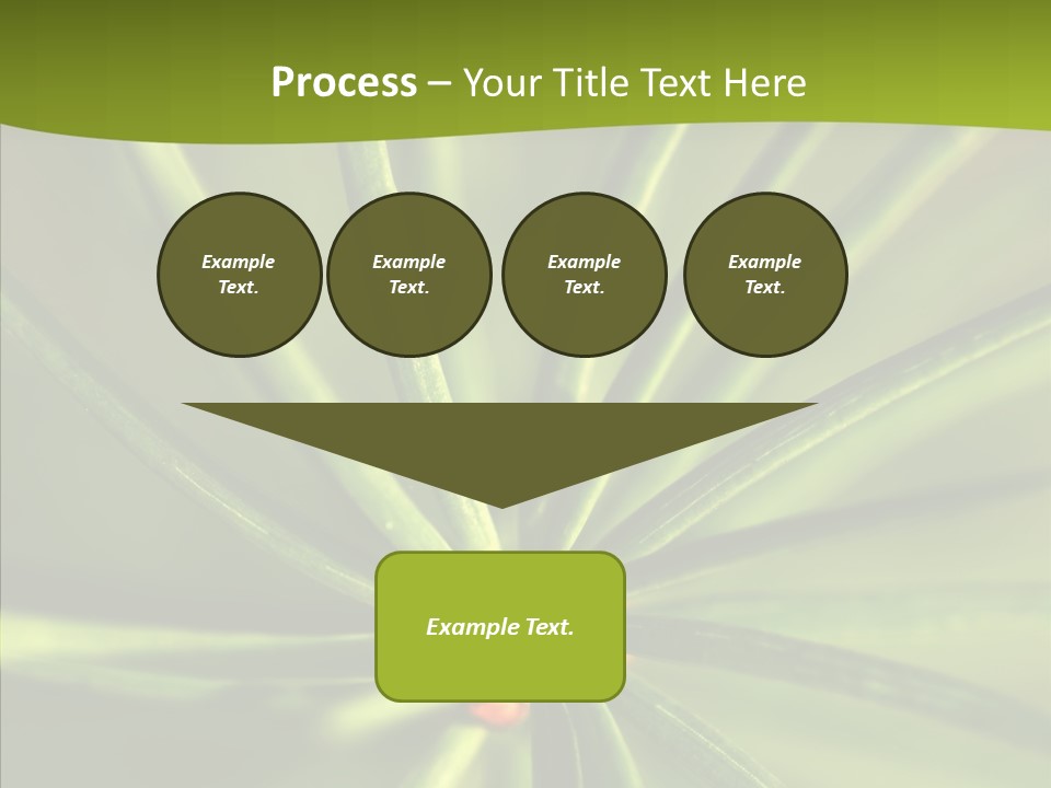 Sprig Xmas Summer PowerPoint Template