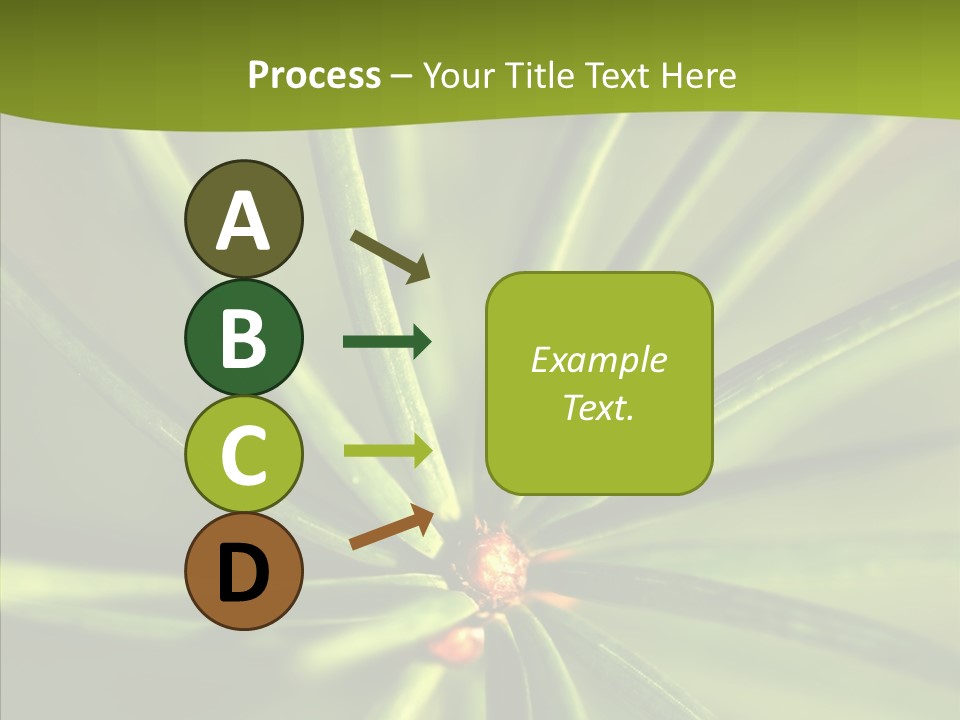 Sprig Xmas Summer PowerPoint Template