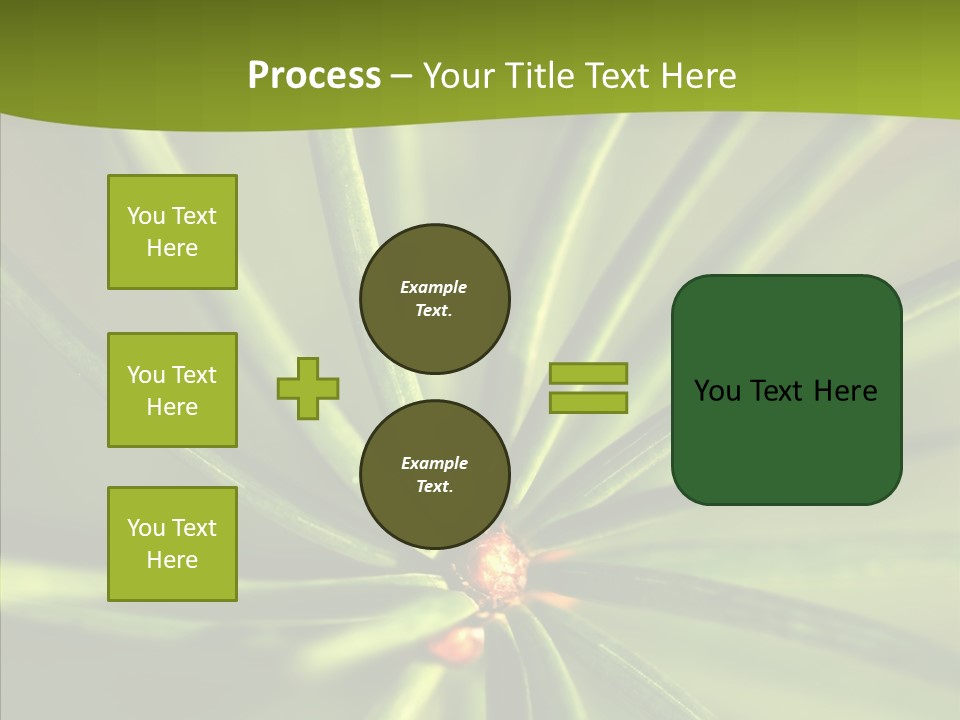 Sprig Xmas Summer PowerPoint Template
