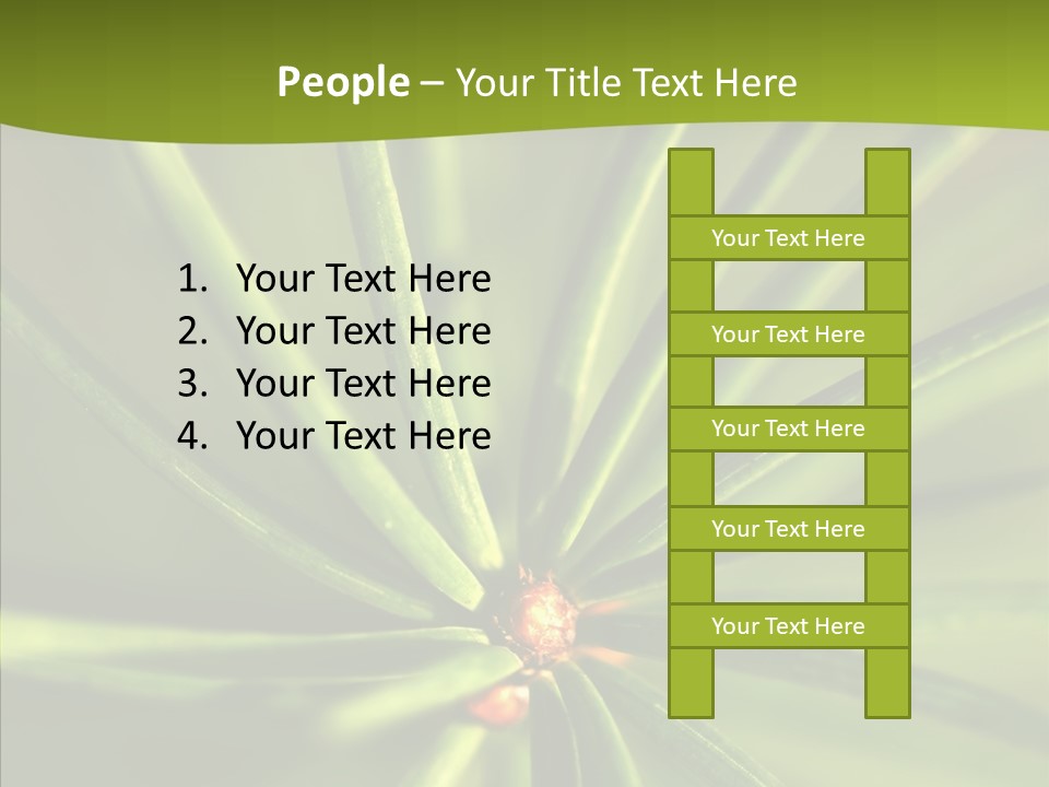 Sprig Xmas Summer PowerPoint Template