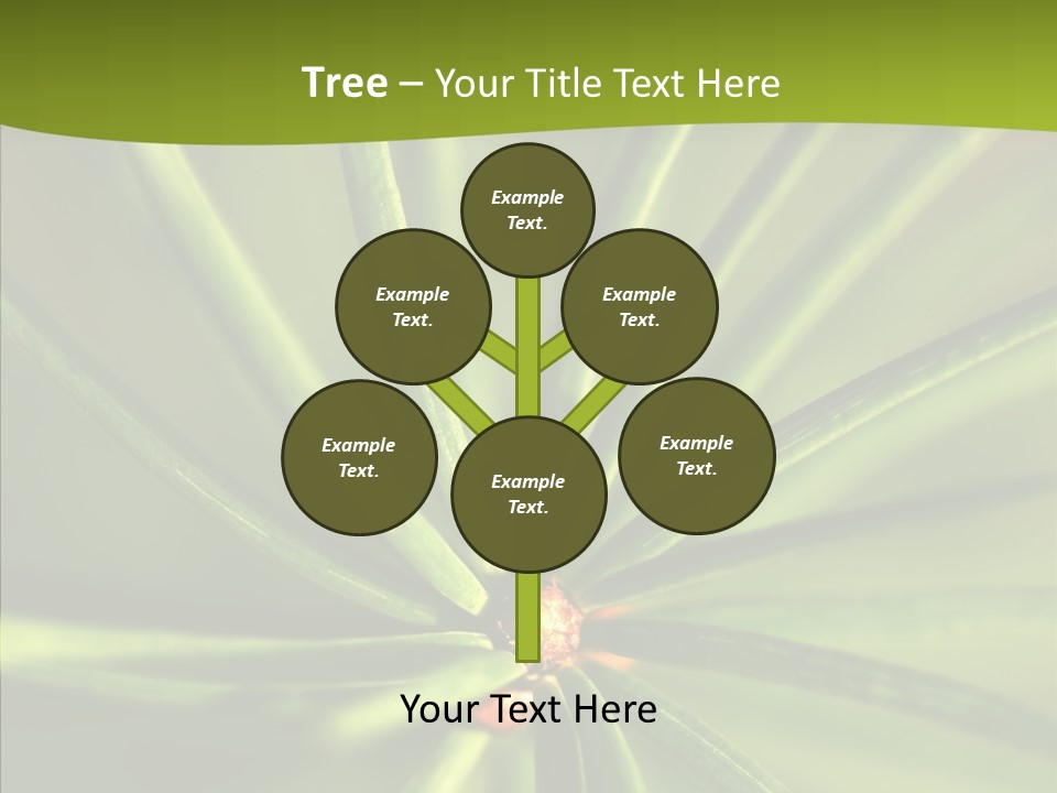 Sprig Xmas Summer PowerPoint Template