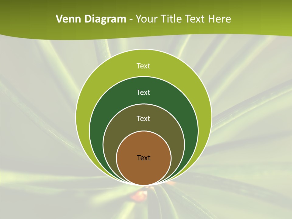 Sprig Xmas Summer PowerPoint Template