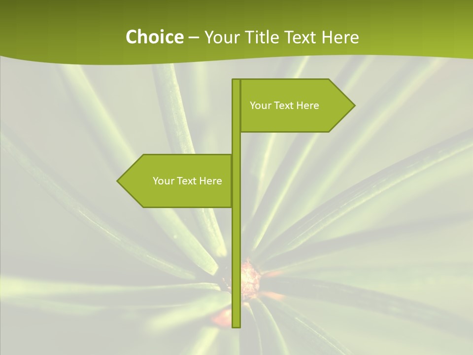 Sprig Xmas Summer PowerPoint Template