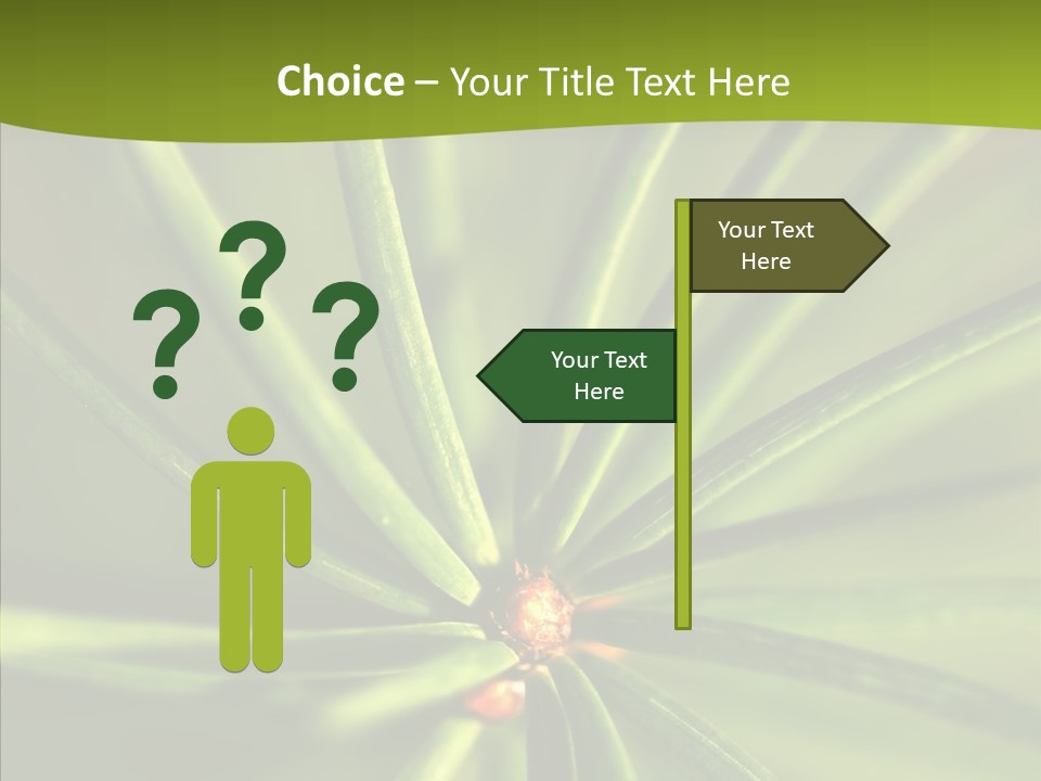 Sprig Xmas Summer PowerPoint Template