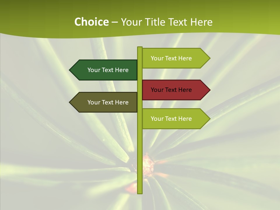 Sprig Xmas Summer PowerPoint Template