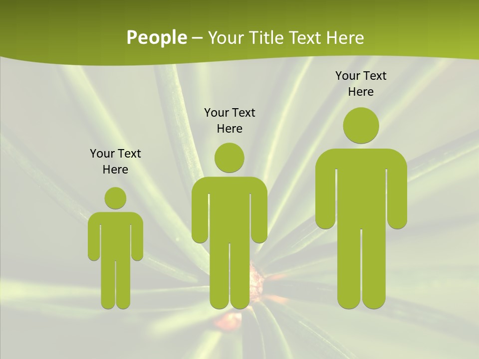 Sprig Xmas Summer PowerPoint Template