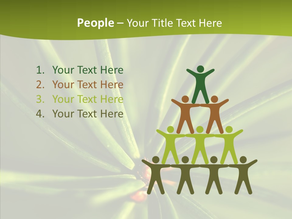 Sprig Xmas Summer PowerPoint Template