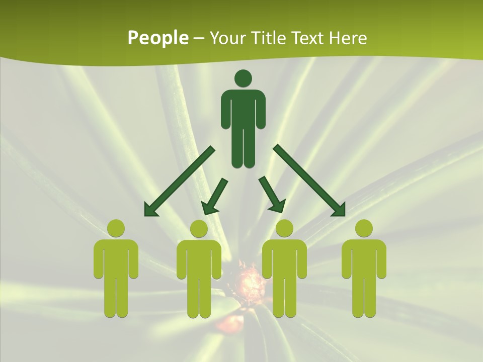 Sprig Xmas Summer PowerPoint Template