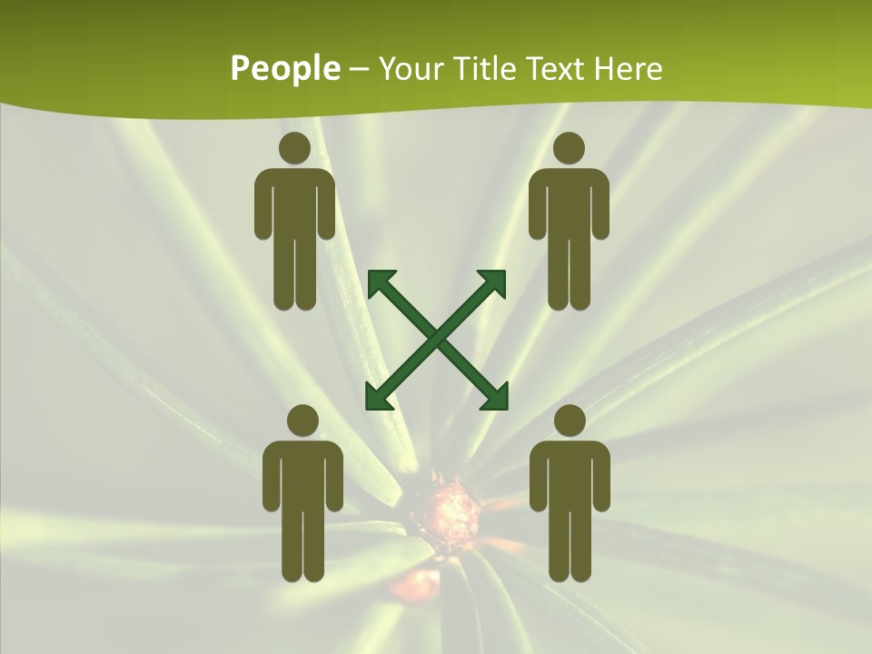 Sprig Xmas Summer PowerPoint Template