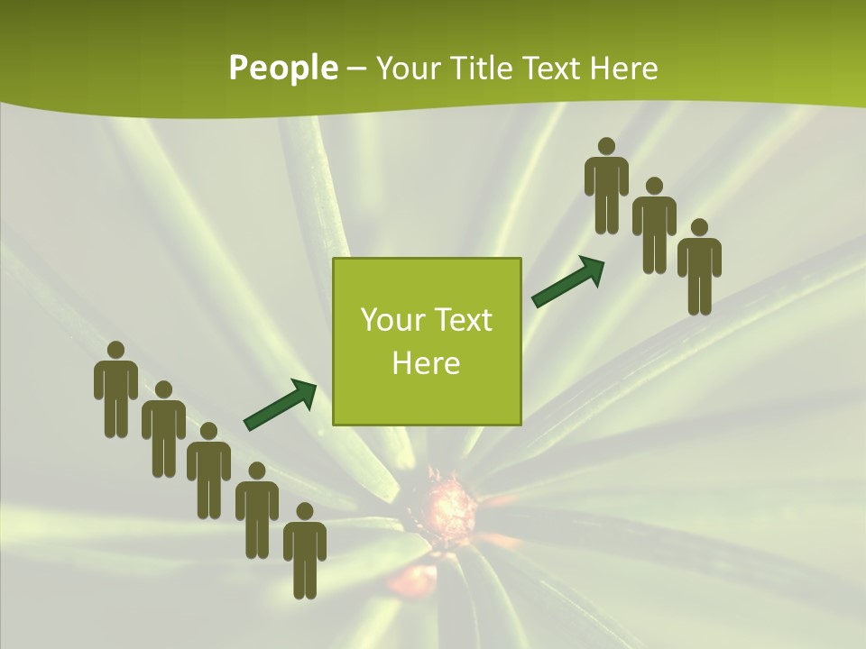 Sprig Xmas Summer PowerPoint Template