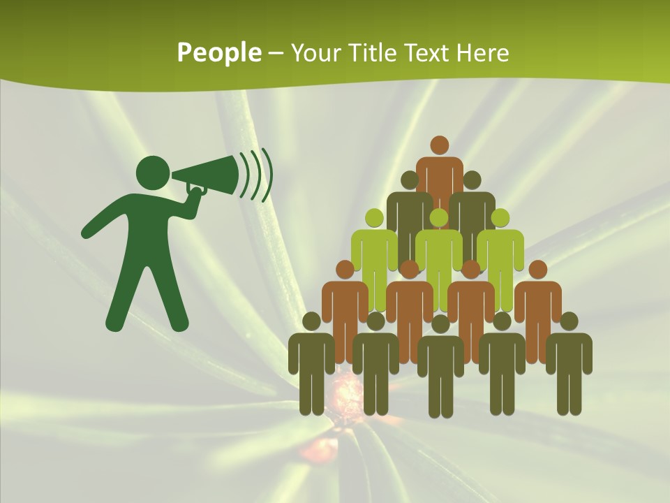 Sprig Xmas Summer PowerPoint Template