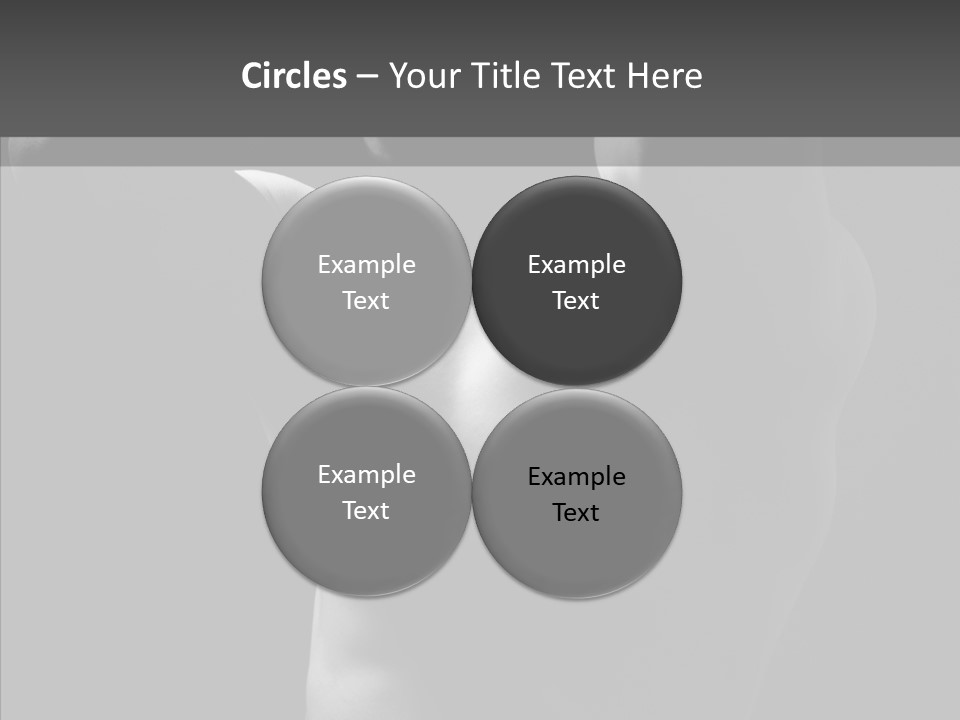 Beautiful Handsome Fresh PowerPoint Template