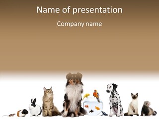 Animal Domestic Animal Fish PowerPoint Template