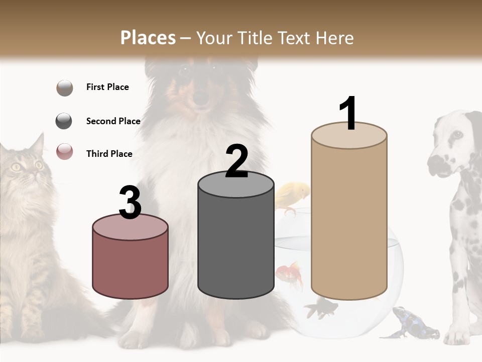 Animal Domestic Animal Fish PowerPoint Template