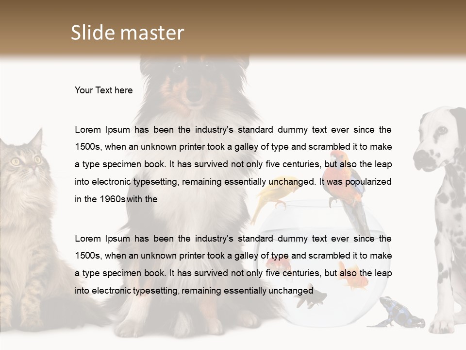 Animal Domestic Animal Fish PowerPoint Template