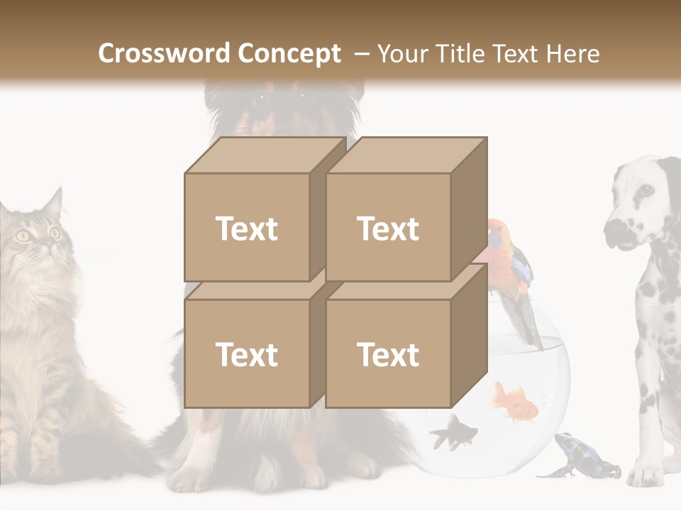 Animal Domestic Animal Fish PowerPoint Template