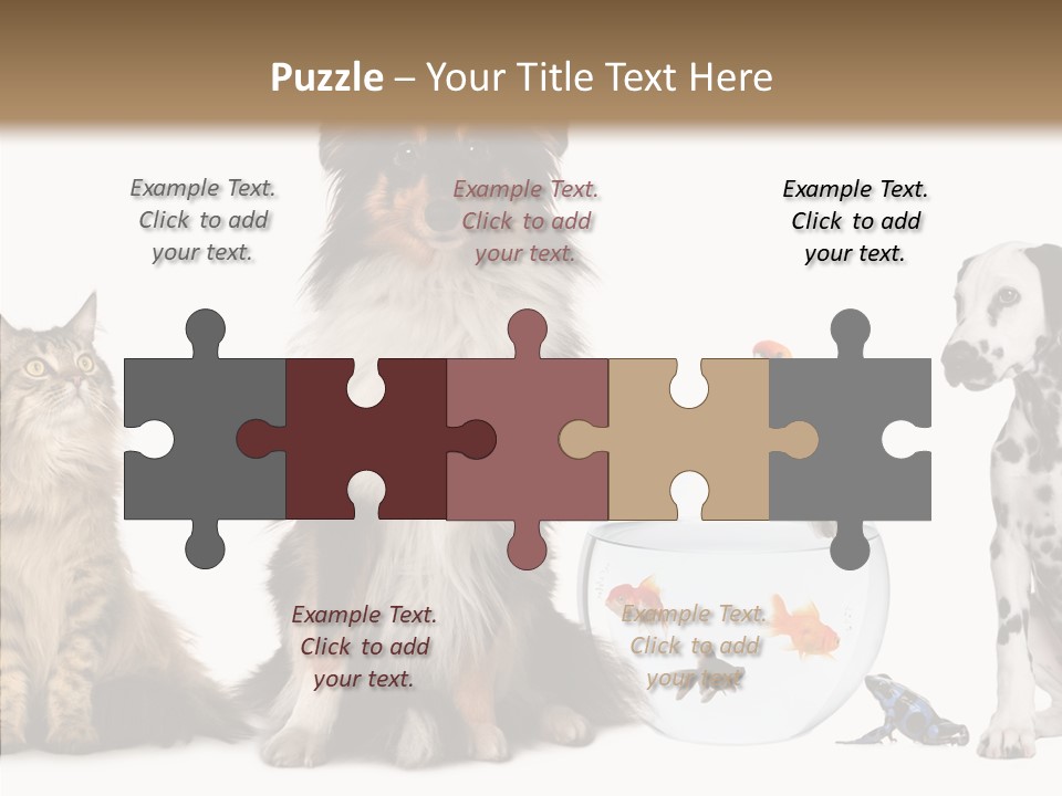 Animal Domestic Animal Fish PowerPoint Template