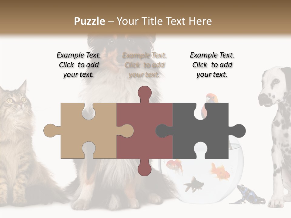 Animal Domestic Animal Fish PowerPoint Template