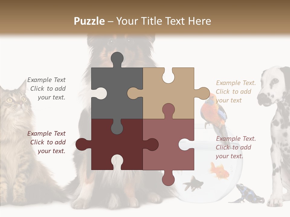 Animal Domestic Animal Fish PowerPoint Template