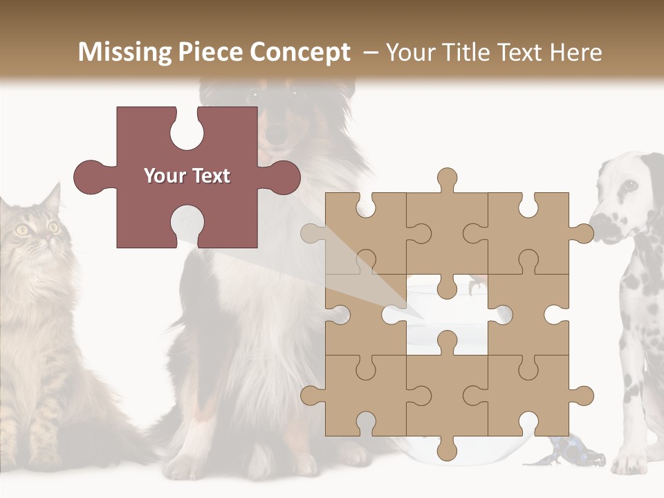 Animal Domestic Animal Fish PowerPoint Template