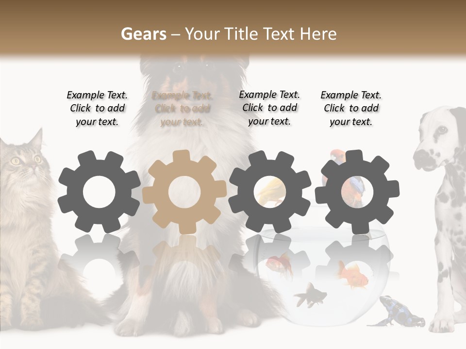 Animal Domestic Animal Fish PowerPoint Template