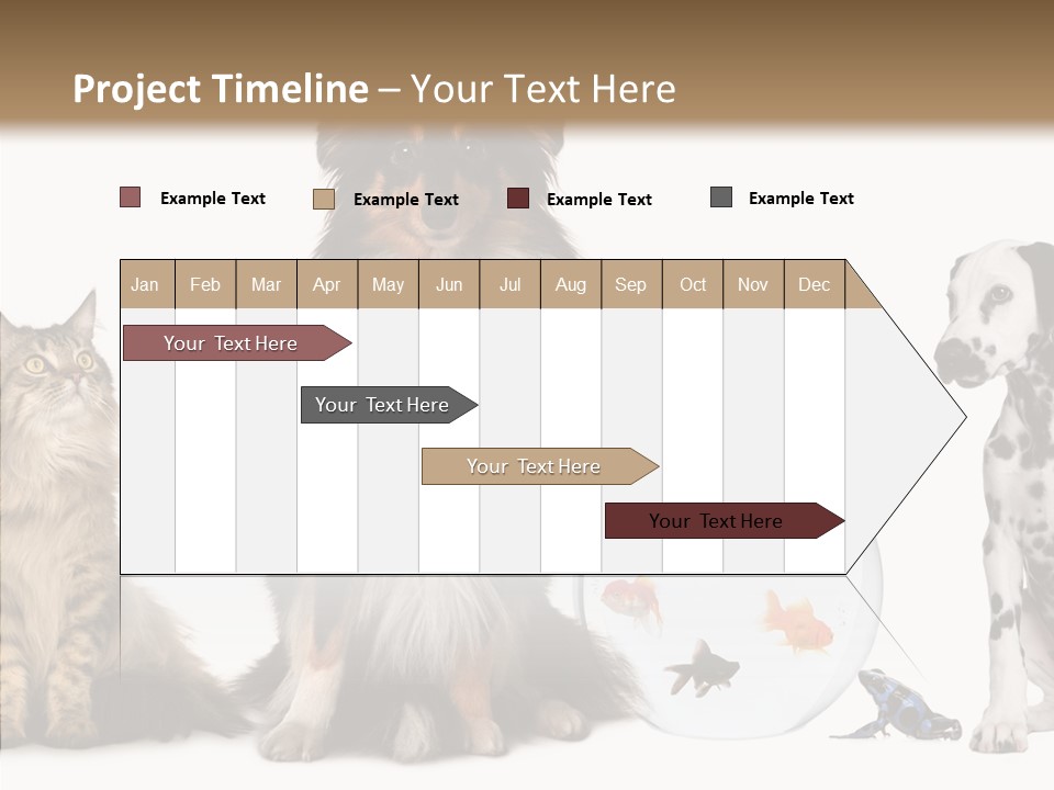 Animal Domestic Animal Fish PowerPoint Template