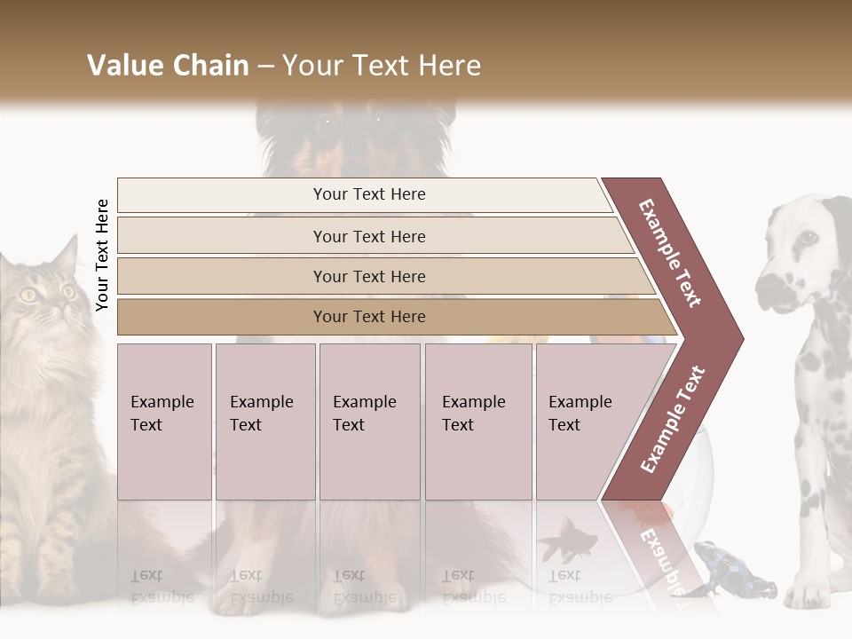 Animal Domestic Animal Fish PowerPoint Template