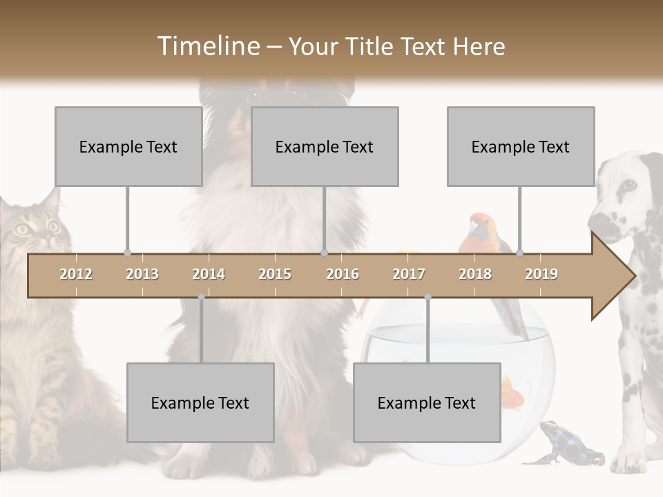 Animal Domestic Animal Fish PowerPoint Template