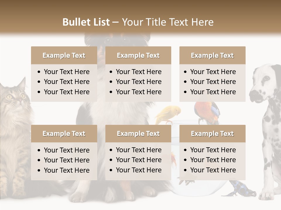 Animal Domestic Animal Fish PowerPoint Template