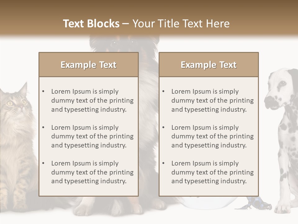 Animal Domestic Animal Fish PowerPoint Template