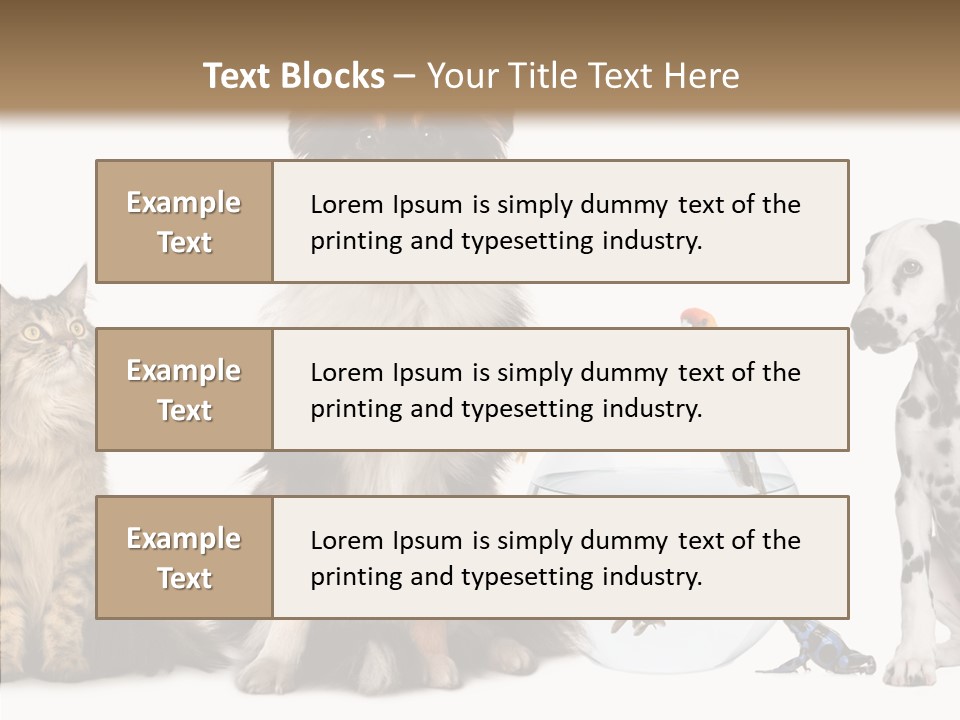 Animal Domestic Animal Fish PowerPoint Template