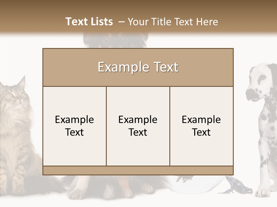 Animal Domestic Animal Fish PowerPoint Template