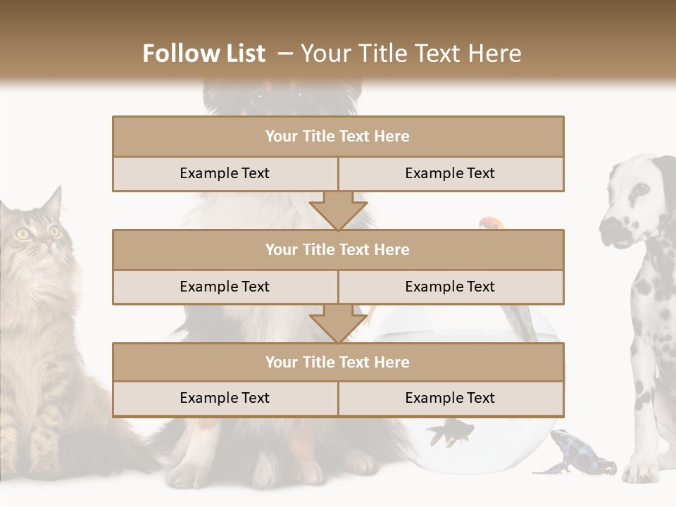 Animal Domestic Animal Fish PowerPoint Template