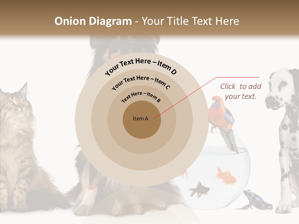 Animal Domestic Animal Fish PowerPoint Template