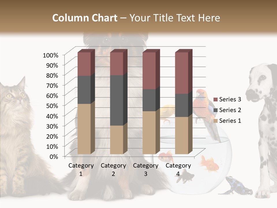 Animal Domestic Animal Fish PowerPoint Template