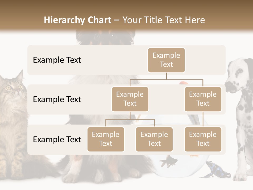 Animal Domestic Animal Fish PowerPoint Template