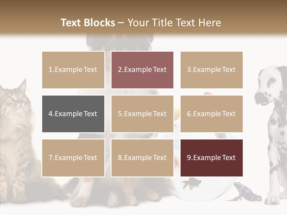 Animal Domestic Animal Fish PowerPoint Template