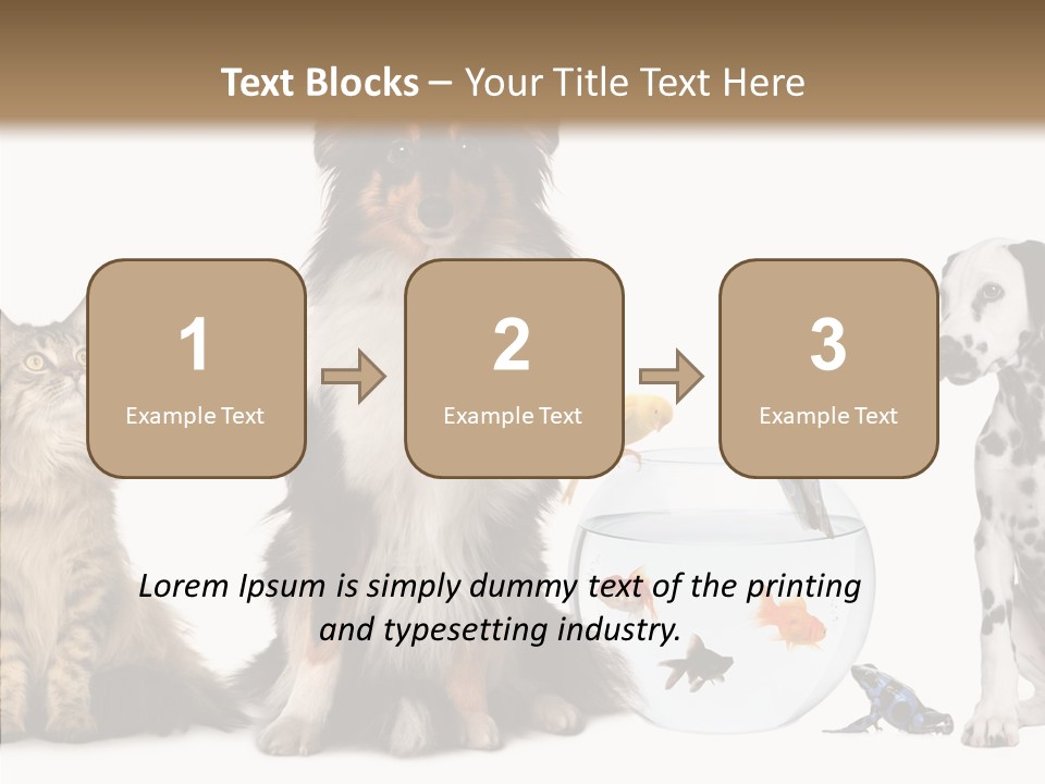 Animal Domestic Animal Fish PowerPoint Template