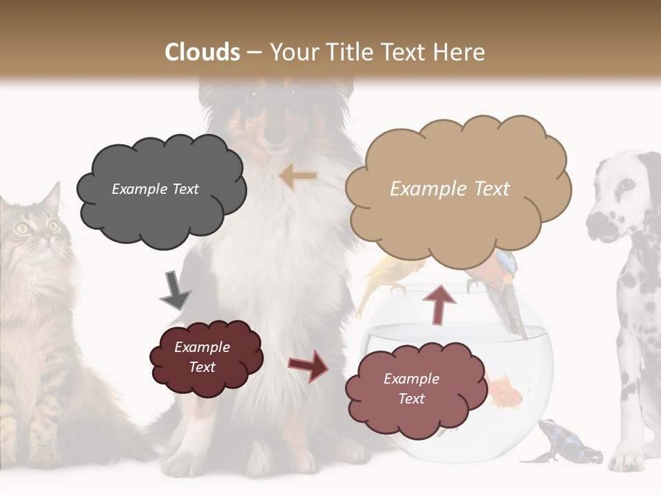 Animal Domestic Animal Fish PowerPoint Template