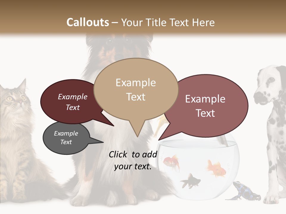 Animal Domestic Animal Fish PowerPoint Template