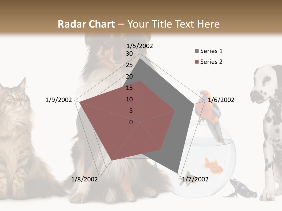Animal Domestic Animal Fish PowerPoint Template