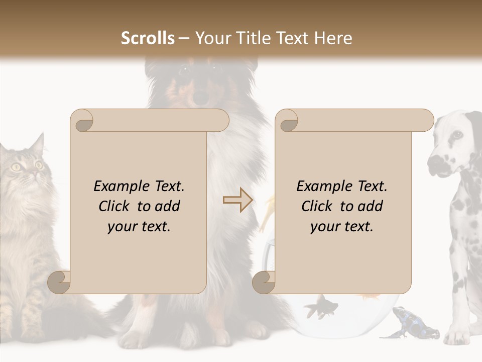 Animal Domestic Animal Fish PowerPoint Template